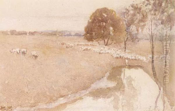 Sheep Near A Billabong Oil Painting by Walter Withers