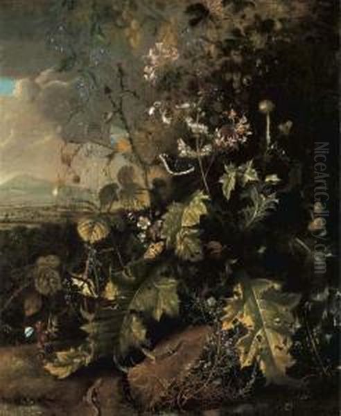 A Forest Floor With Butterflies And Lizards Oil Painting by Mathias Withoos