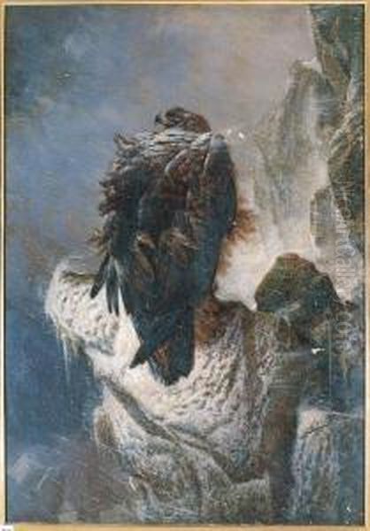 The Proud Bird Of The Mountain Oil Painting by Joseph Wolf