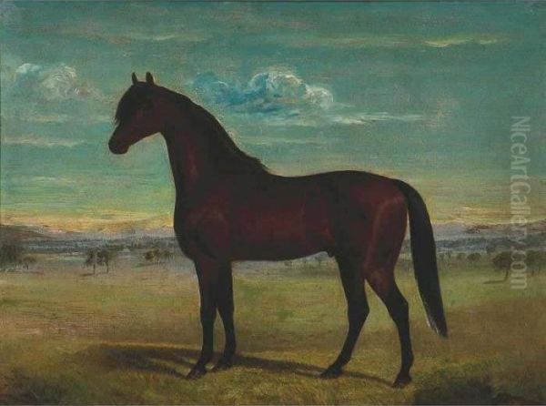 Horse In Landscape Oil Painting by Frederick, Woodhouse Snr.