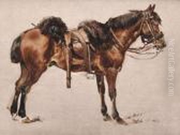 Oil Sketch Of A Horse Oil Painting by William Arnold Woodhouse