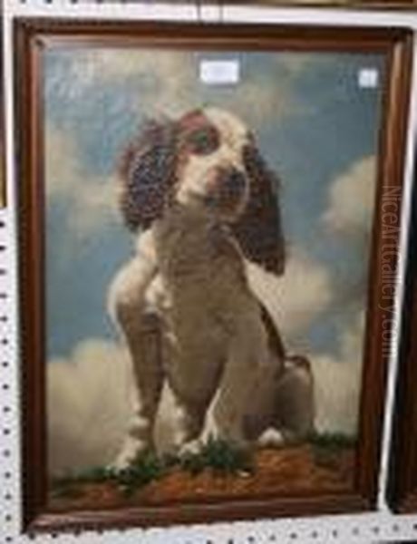 Study Of A Seated Springer Spaniel Oil Painting by William Arnold Woodhouse