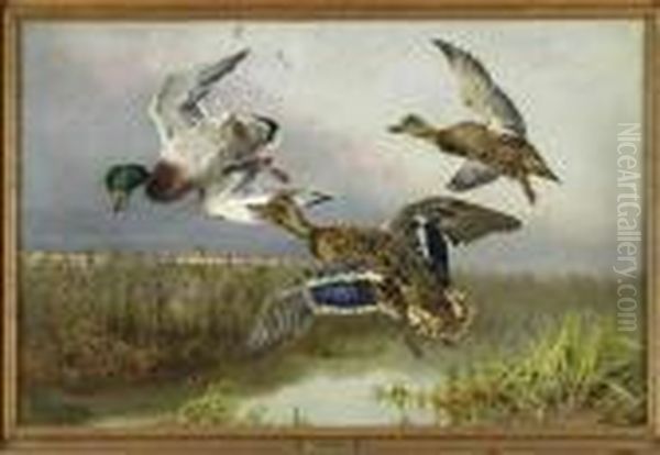 Duck Shooting Oil Painting by William Arnold Woodhouse