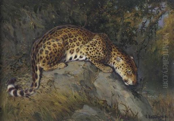 Anticipation, Leopard On A Rock Oil Painting by William Arnold Woodhouse