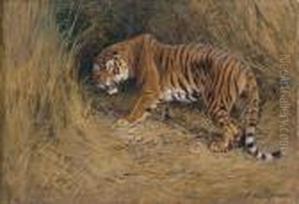 A Tiger On The Alert Oil Painting by William Arnold Woodhouse