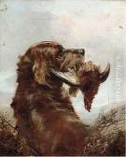 A Gun Dog With A Grouse Oil Painting by William Arnold Woodhouse