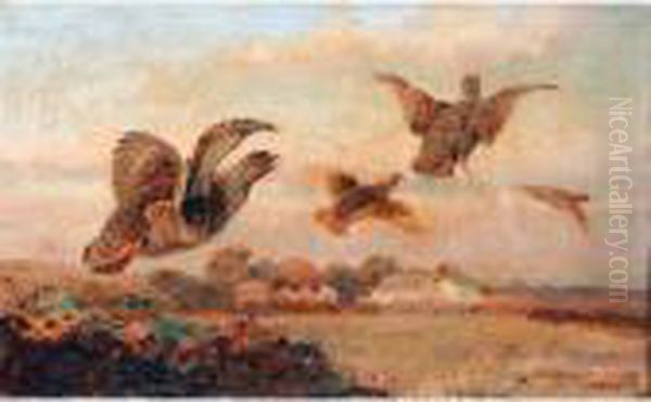 Grouse In Flight Oil Painting by William Arnold Woodhouse