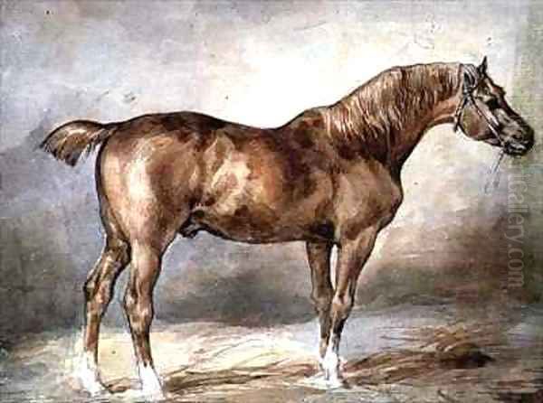 A docked chestnut horse Oil Painting by Theodore Gericault