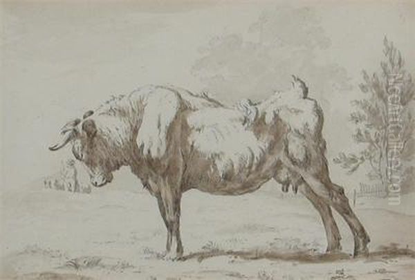 Studies Of Cows Oil Painting by Thomas Woodward