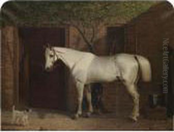 A Grey Hunter Outside The Stables With Two Dogs Oil Painting by Thomas Woodward