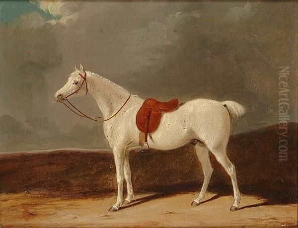 Portrait Of A Grey Hunter In A Landscape Oil Painting by Thomas Woodward