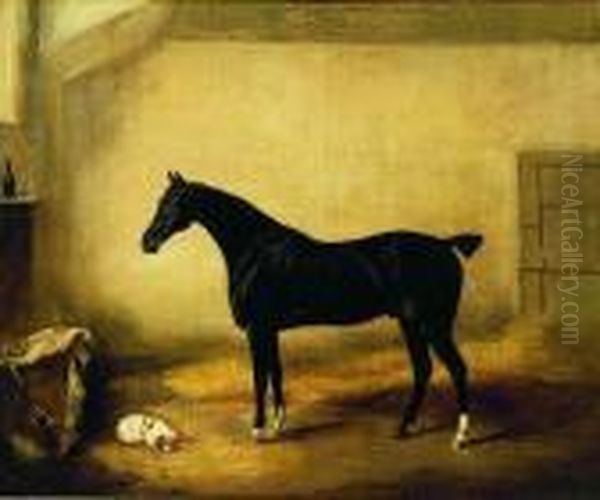 Black Stallion In A Stall Oil Painting by Thomas Woodward