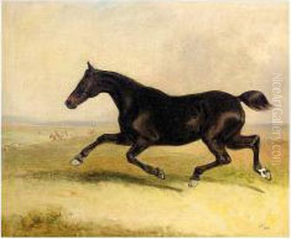 The Runaway Horse Oil Painting by Thomas Woodward