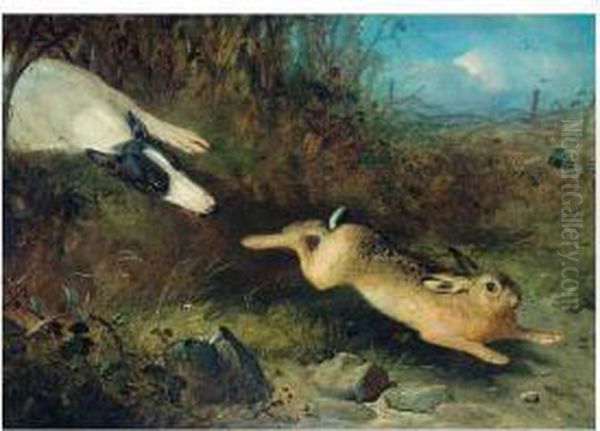 A Greyhound In Pursuit Of A Hare Oil Painting by Thomas Woodward