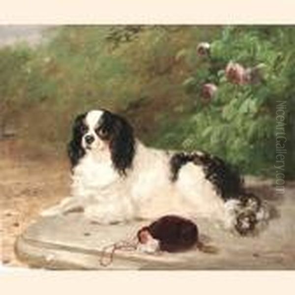 Portrait Of A King Charles Spaniel Oil Painting by Thomas Woodward