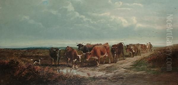 Cattle At A Pool, A Dog Nearby Oil Painting by Henry Charles Woollett