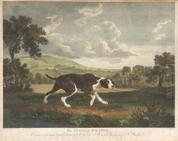 The Spanish Pointer Oil Painting by William Woollett