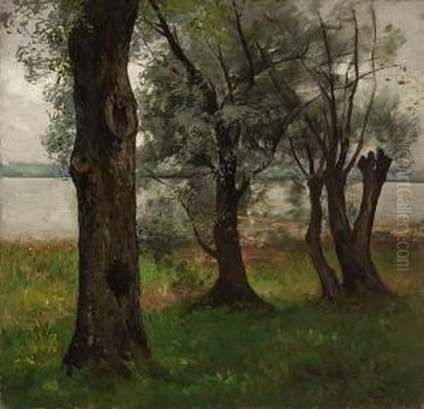 Weidenbaume Am Chiemsee -
 Ufer. Oil Painting by Josef Wopfner