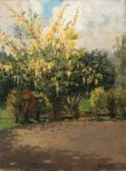 Golden Shower Tree
Signed Oil Painting by Theodore Wores