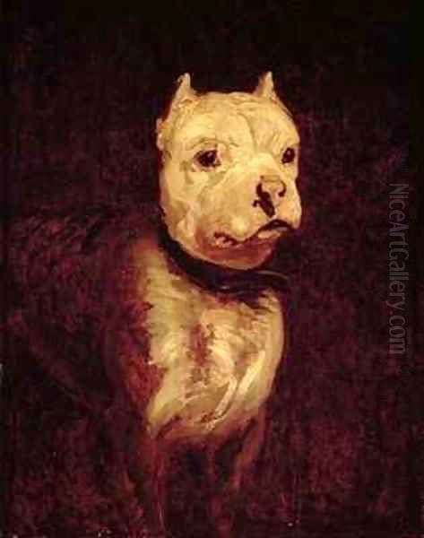 Portrait of a bulldog Oil Painting by Theodore Gericault