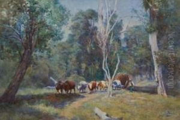 Bullocks Carting Wood, Central North Island Oil Painting by Charles Nathaniel Worsley