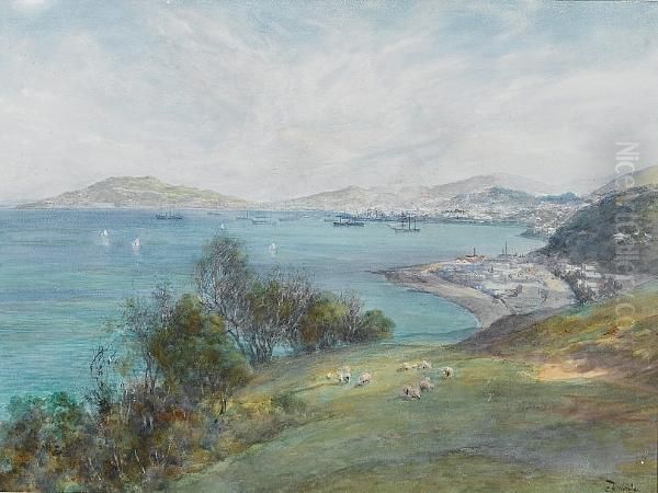 View Over Wellington Harbour, New Zealand Oil Painting by Charles Nathaniel Worsley