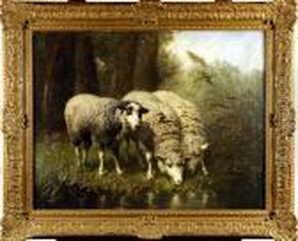 Les Moutons Oil Painting by Edouard Woutermaertens