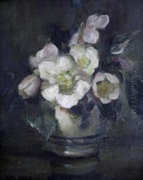 Hellebores Oil Painting by Kate Wylie