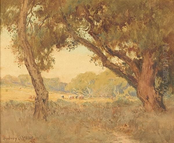 Cattle Grazing In A Sunlit Clearing Oil Painting by Sydney Jones Yard