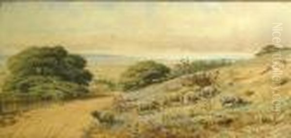 Sheep On The Hillside With A Coastal View Oil Painting by Sydney Jones Yard