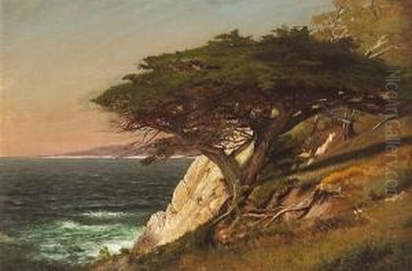 Cypress Tree, Carmel Bay Oil Painting by Raymond Dabb Yelland