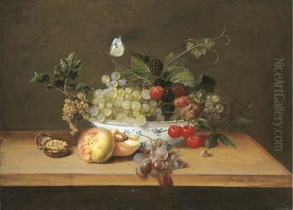 Grapes On The Vine, 
Whitecurrants, Blackberries, Cherries And A Walnut In A Porcelain Bowl 
With Peaches, Grapes And A Walnut On A Wooden Table Ledge With A Large 
White Butterfly Oil Painting by Frans Ykens