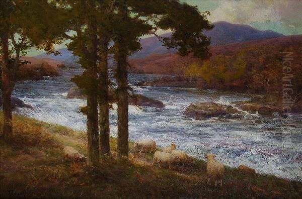 Sheep By Ahighland River Oil Painting by Alexander Young