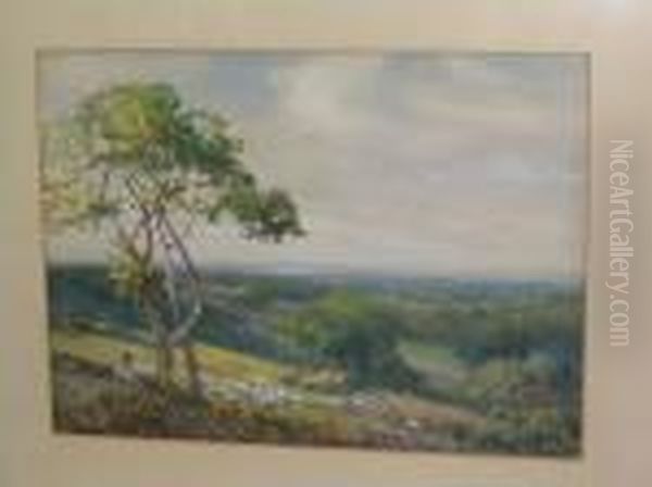 View From Harrow Hill, Middlesex Oil Painting by Alexander Young