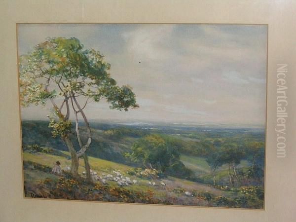 View From Harrow Hill, Middlesex Oil Painting by Alexander Young