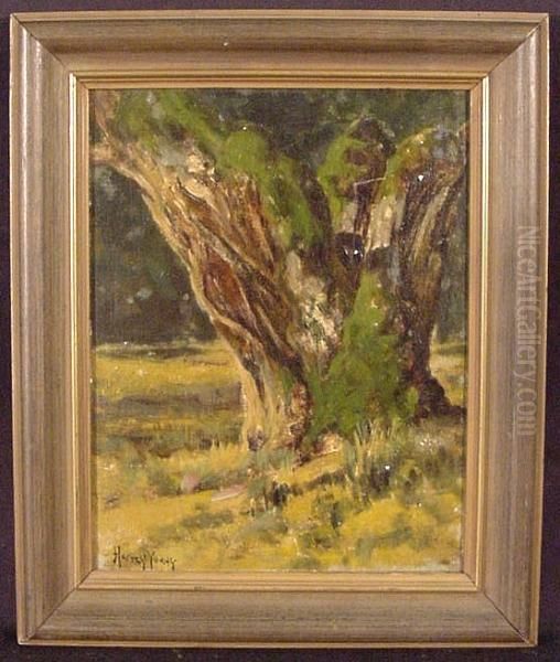 A Study Of A Tree Trunk Oil Painting by Harvey Otis Young