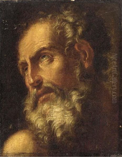 An Old Man, Head And Shoulders by Antonio Zanchi