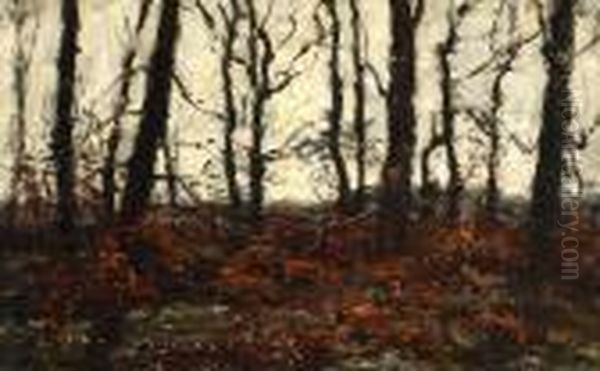 A Forrest In Autumn Colours Oil Painting by Jan Adam Zandleven