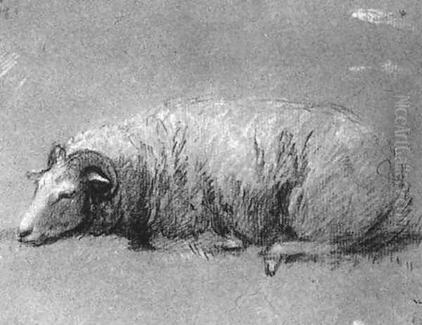 Study of a Sheep 1757-59 Oil Painting by Thomas Gainsborough