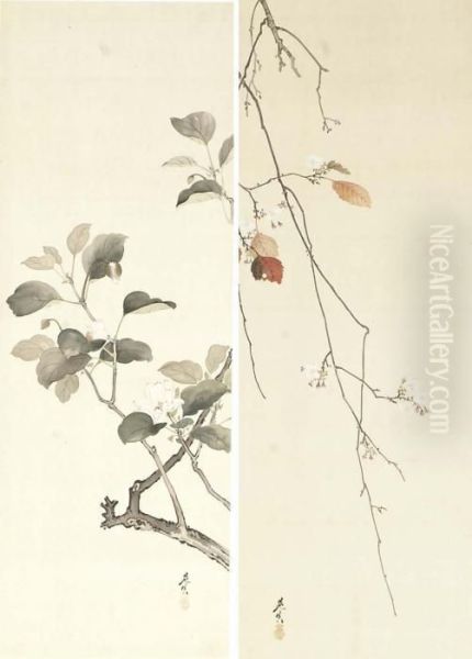 Summer And Winter (camellia And Cherry) Oil Painting by Shibata Zeshin