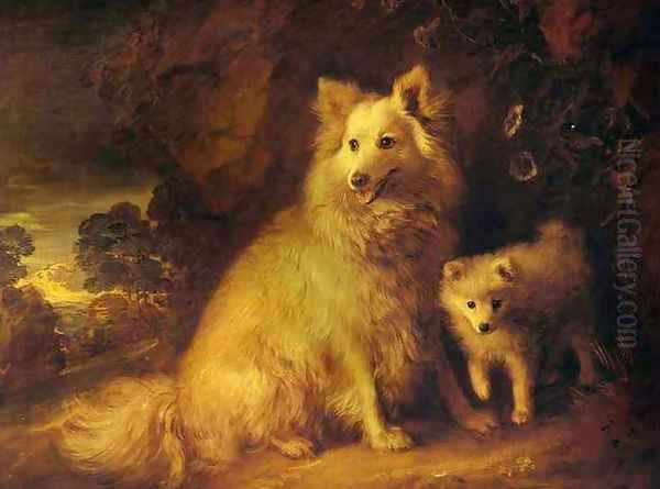 Pomeranian Bitch and Puppy Oil Painting by Thomas Gainsborough