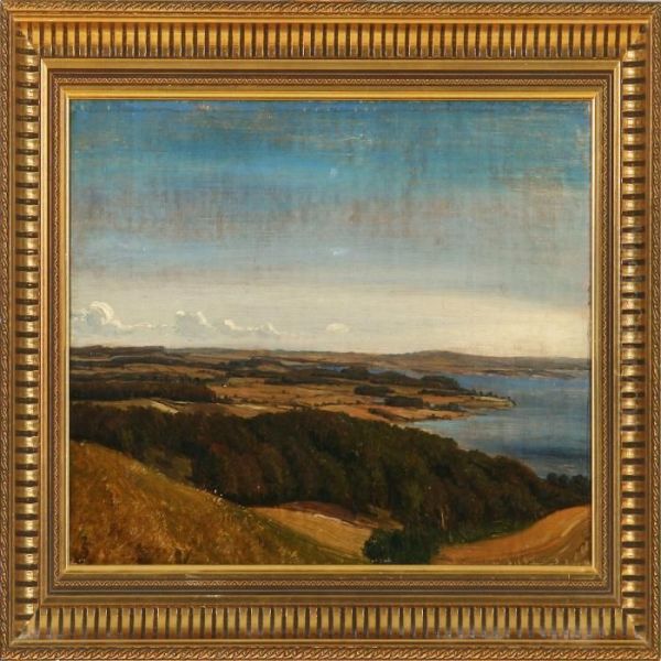 Landscape From South Jutland Oil Painting by Wilhelm Zillen