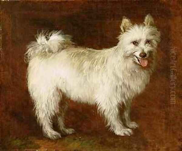 Spitz Dog Oil Painting by Thomas Gainsborough