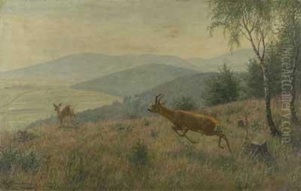 Rehbock Und Ricke Am Waldrand Oil Painting by Carl Friedrich Zimmermann