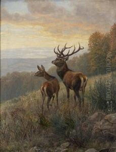 Hirsch Und Hirschkuh Auf Der
 Lichtung. Oil Painting by Carl Friedrich Zimmermann