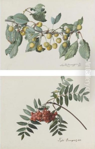 Two Studies: A Branch Of White Cherries, And One Of Rowan Oil Painting by Leopold Zinnogger