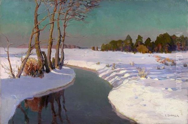 Pejzaz Zimowy Ze Strumykiem, Ok. 1925-30 Oil Painting by Teodor Ziomek