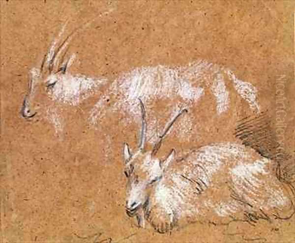 Study of Goats Oil Painting by Thomas Gainsborough