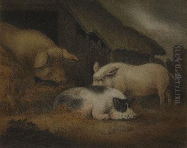 Depicting Three Various Pigs In Straw Outside Their Sty Oil Painting by Benjamin Zobel