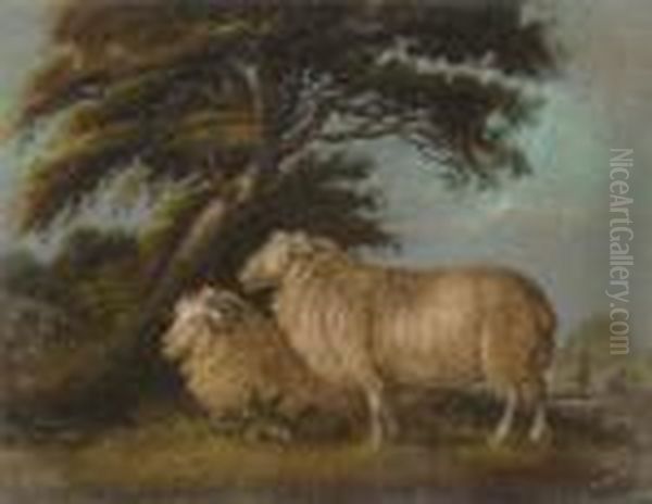 Two Sheep Oil Painting by Benjamin Zobel